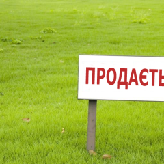 Продажа земли в Одесской области - задача профессионалов