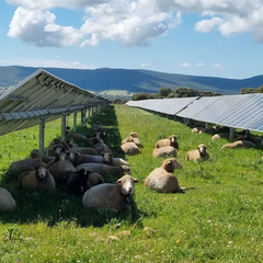 Solar panels on a farm in Australia