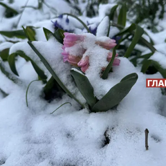 Снігова зима серед весни: Україна засипалася