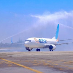 Подозреваемый пилот на Boeing 737