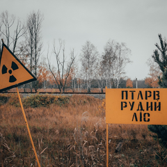 Окупанти у Рудому лісі