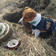 Первая благотворительная марка Укрпочты