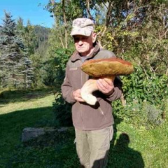 Гриб-гигант на Франковщине