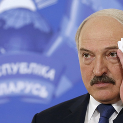 Вовк в шкурі вівці