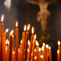 Покупки украинцев во время отключения электроэнергии