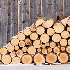 Людей стоять возле дров на вулиці