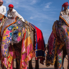 Люди в Індії радіють завершенню пандемії