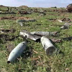 Екологічні збитки через військові дії?