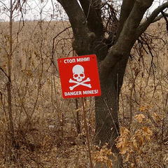 Мінне поле вражаючих розмірів у світі