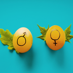 Запрет конверсионной терапии в Британии