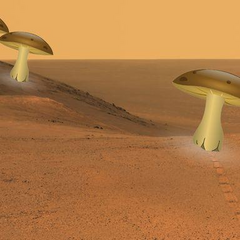 Дома из грибов на Марсе