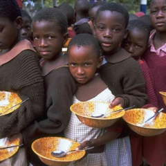 Українське зерно у регіонах світу