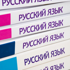 Русский язык и враги в поглощающих книгах