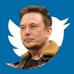 Ігнорування законів та дезінформація Ілона Маска