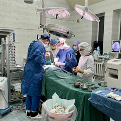 Хлопчик бере рушницю в руки