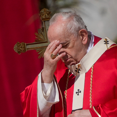 Таємні плани Франциска