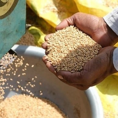 Запрет Еврокомиссии на поставки сельскохозяйственной продукции из Украины
