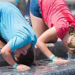 Рекордна жара по всьому світі