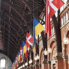 Прапор Данії та грошові купюри