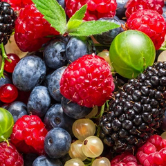 Малина и клубника по привлекательным ценам