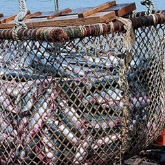 ТОП-10 сайтів для пошуку роботи в Ісландії