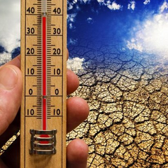 Забруднення повітря в Ірані