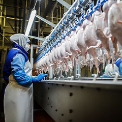 Топ сайтів для пошуку роботи