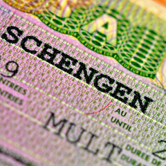 Прапори країн, які доброзичливі до Росії