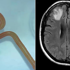 Визитная карточка Австралии: новые туристические приключения
