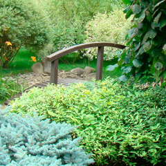 Закупки военных, шокирующие данные Prozorro