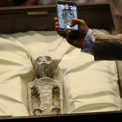 Инопланетяне летают интернетом и набирают миллионные просмотры