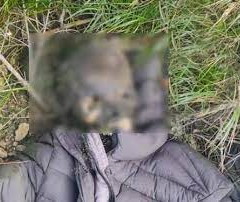 Страхітлива знахідка на кордоні з Румунією