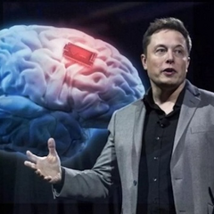 Илон Маск тестирует мозговой имплант на людях