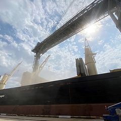 Гриндер вирубує зерновий коридор