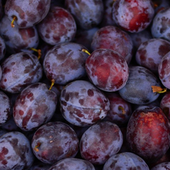 Сливы, вызывающие смерть