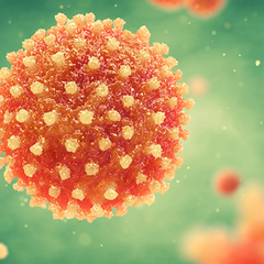 Распространение гепатита А в Украине