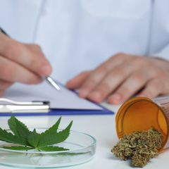 Військові в Україні вживають марихуану