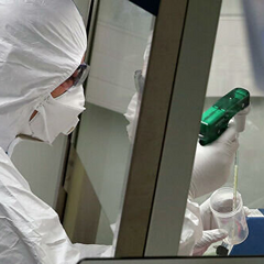 Штам коронавируса в Украине