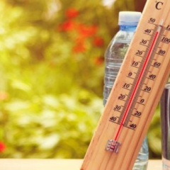 Погода до +38° на неделю