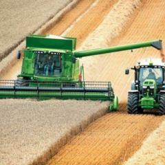 Основные продукты украинского аграрного рынка. Что мы выращиваем и почему это важно?