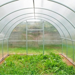 Садження огірків в стаканчики і теплицю