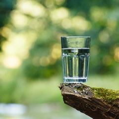 Eco-friendly and beneficial: why you should switch to filtered drinking water