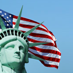 Stability and Success: How to Find Any Service in the USA?