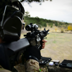 5 types of sights for air guns