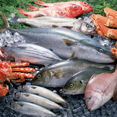 Regional Fish Dishes of Ukraine