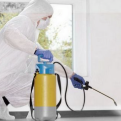 Conducting Pest Control: Safety Measures and How to Prepare