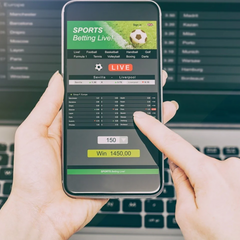 Registration in the mobile version of the online casino