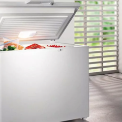 Home Freezer: An Incredibly Simple Solution to Many Food Storage Problems
