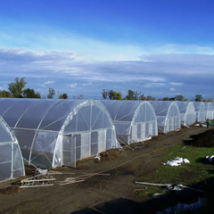 Industrial Greenhouses: A Profitable Business and Fresh Products All Year Round