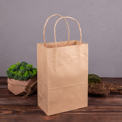 Advantages of Kraft Bags over Plastic Bags